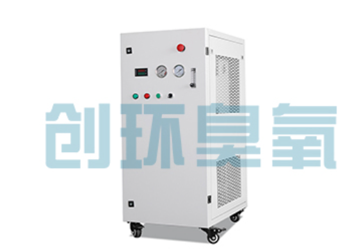 宁河石斑鱼养殖水质调控完整指南：臭氧发生器配置与操作步骤