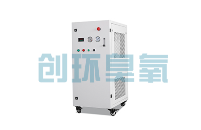 宁河比传统换水更高效？臭氧发生器在石斑鱼养殖中的水质净化原理解析